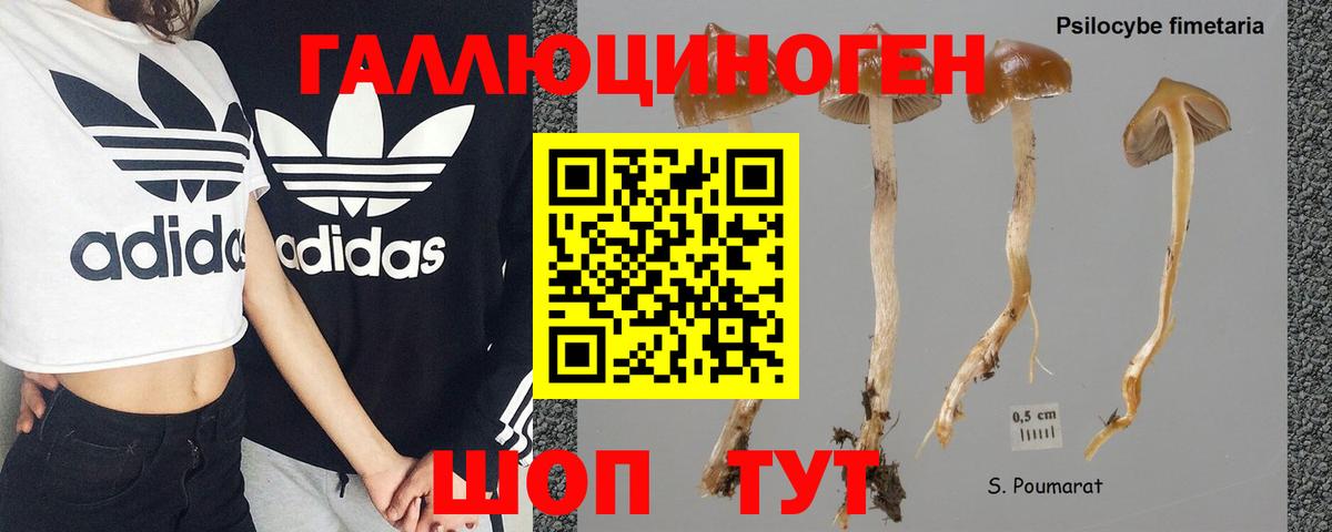 как найти закладки  Вход с VPN  Добрянка  Псилоцибиновые грибы Psilocybe 