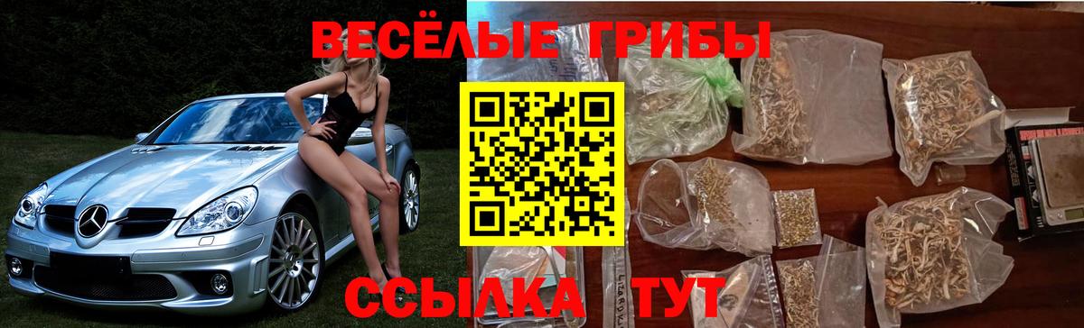 Псилоцибиновые грибы MAGIC MUSHROOMS Добрянка